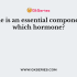 Which endocrine organ produces “releasing hormones” and “inhibitory hormones”?