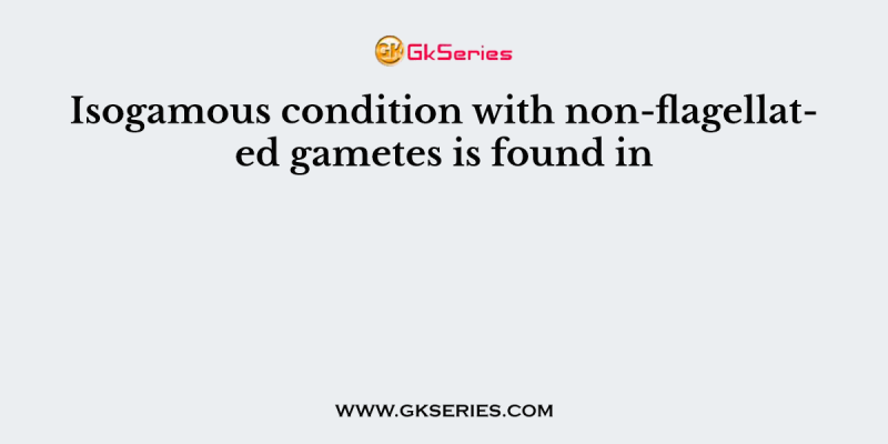 Isogamous condition with non-flagellated gametes is found in