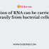 For studying processes such as splicing and cleavage, RNA is required. Choose the correct statement for this