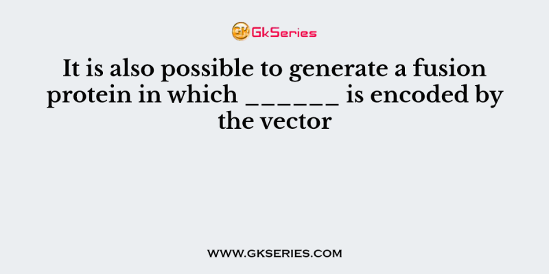 It is also possible to generate a fusion protein in which ______ is encoded by the vector