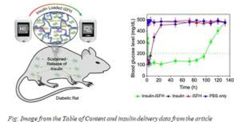 JNCASR developed injectable Silk Fibroin-based hydrogel