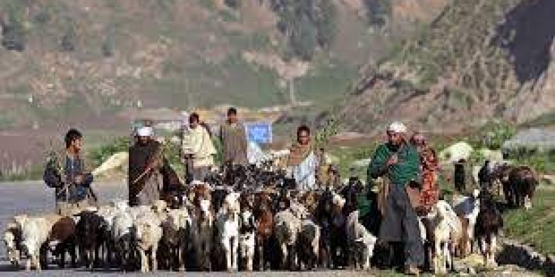 Jammu & Kashmir’s Roshni Act