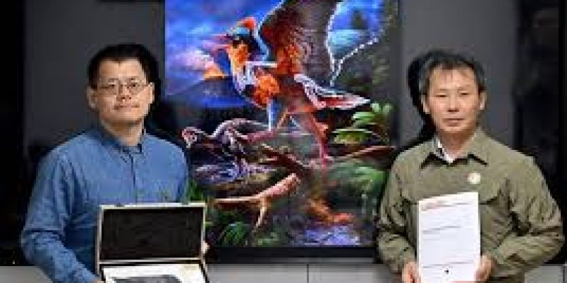 Jurassic Fossil Discovery in China Reveals Clues to Bird Evolution