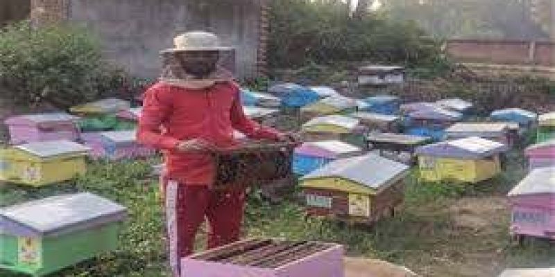 KVIC’s Honey Mission Earns First Income for Migrant Workers