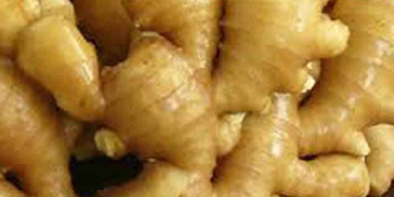 Karbi Anglong’s GI Ginger
