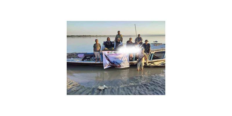 Kaziranga survey records 945 freshwater turtles