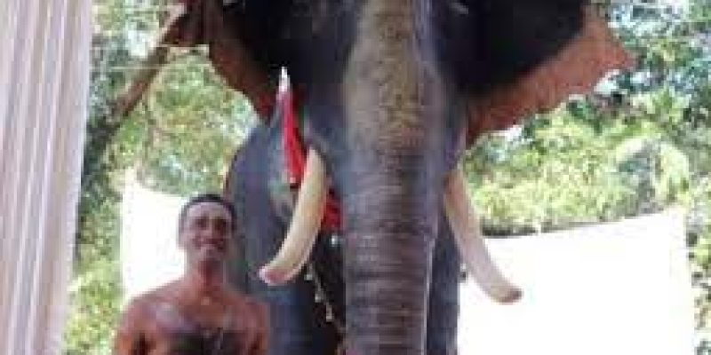 Kerala temple become India’s first to induct robotic elephant for ritual duties