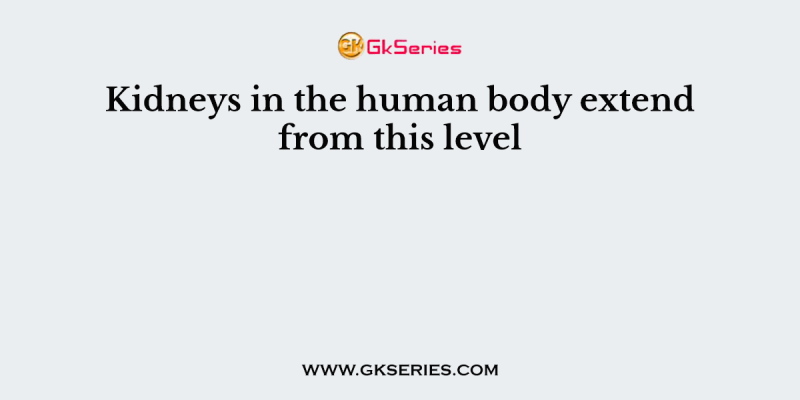 Kidneys in the human body extend from this level