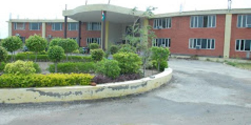 Kings Group of Institutions, Barnala