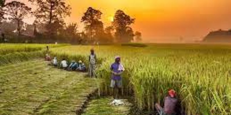 Kisan Sarathi launched to facilitate farmers to get ‘right information at right time’