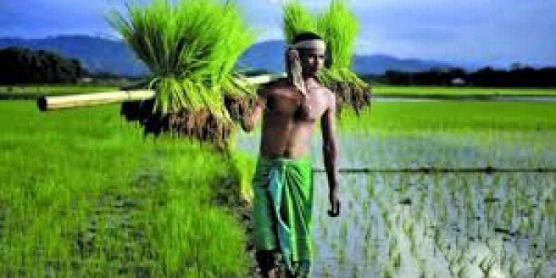 Odisha has decided to merge KALIA Yojana with PM-KISAN Yojana