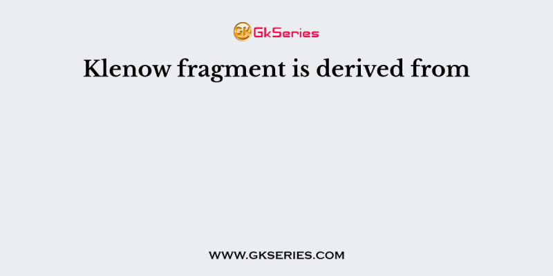 Klenow fragment is derived from
