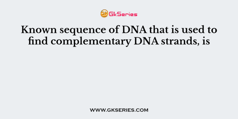 Known sequence of DNA that is used to find complementary DNA strands, is