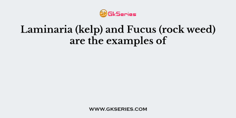 Laminaria (kelp) and Fucus (rock weed) are the examples of