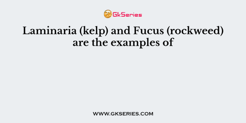 Laminaria (kelp) and Fucus (rockweed) are the examples of