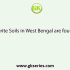Nabadwip to Bay of Bengal the Ganga river is named as