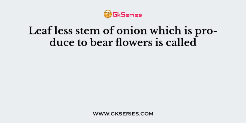 Leaf less stem of onion which is produce to bear flowers is called