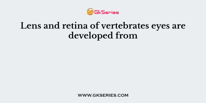 Lens and retina of vertebrates eyes are developed from