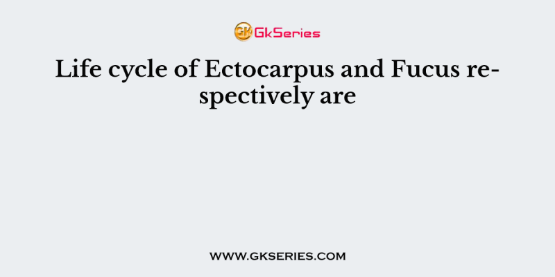 Life cycle of Ectocarpus and Fucus respectively are