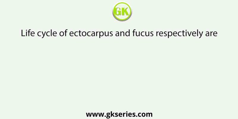 Life cycle of ectocarpus and fucus respectively are