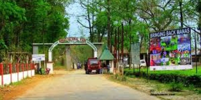 List of National Parks and Wildlife Sanctuaries in Assam