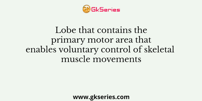 Lobe that contains the primary motor area that enables voluntary control of skeletal muscle movements