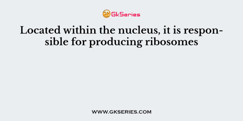 Located within the nucleus, it is responsible for producing ribosomes