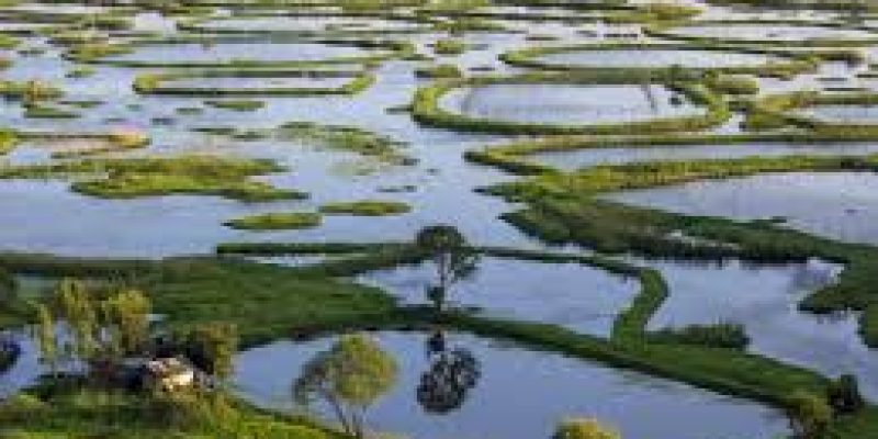 Loktak Lake
