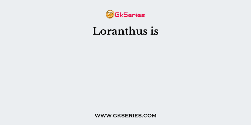 Loranthus is