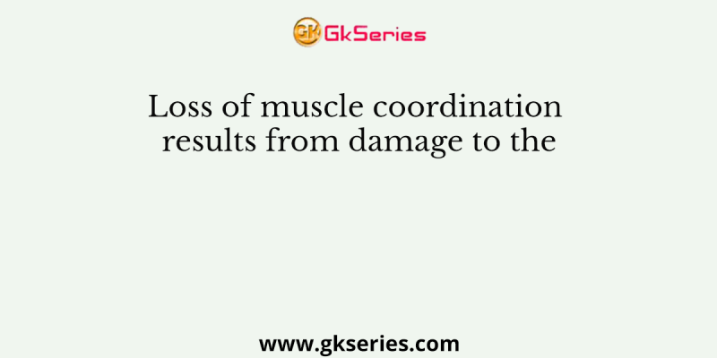 Loss of muscle coordination results from damage to the
