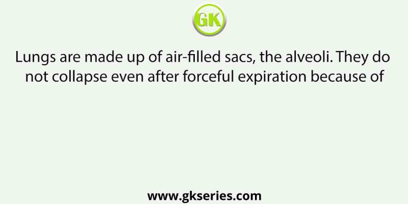Lungs are made up of air-filled sacs, the alveoli. They do not collapse even after forceful expiration because of