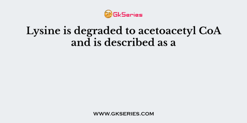 Lysine is degraded to acetoacetyl CoA and is described as a