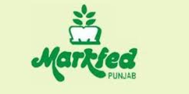 MARKFED Recruitment 2021 for 227 Assistant Accountant, Assistant Field Officer & Various Vacancy