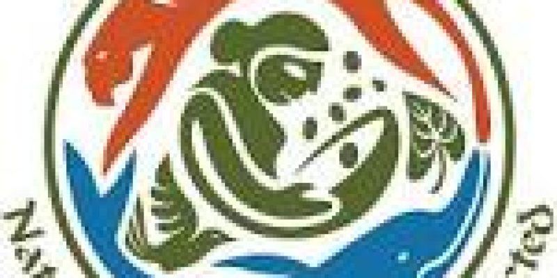 MOEF Recruitment 2020 for 34 Scientists Vacancy