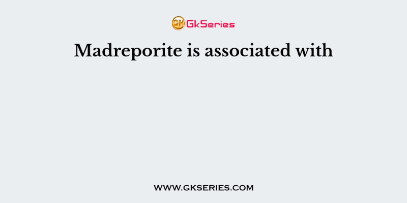 Madreporite is associated with