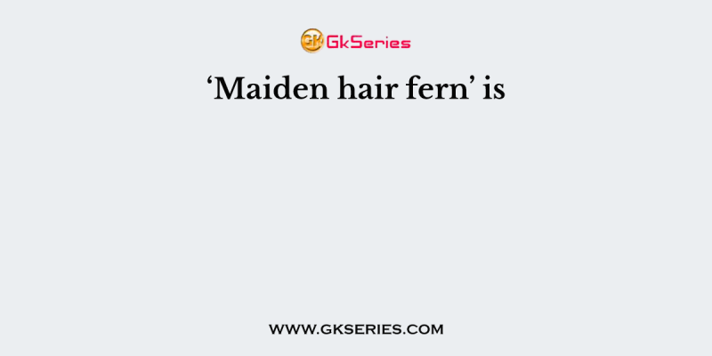 ‘Maiden hair fern’ is