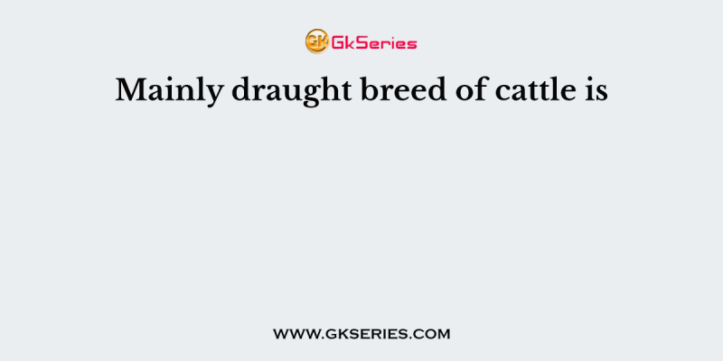 Mainly draught breed of cattle is