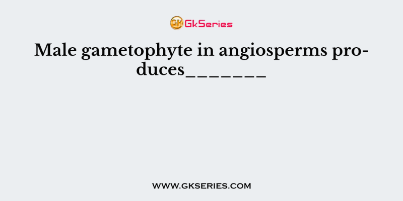 Male gametophyte in angiosperms produces_______