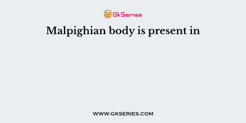 Malpighian body is present in