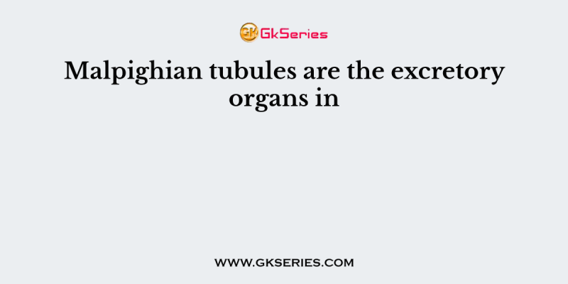 Malpighian tubules are the excretory organs in