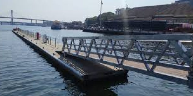 Mandaviya Inaugurates Floating Jetty at Old Goa