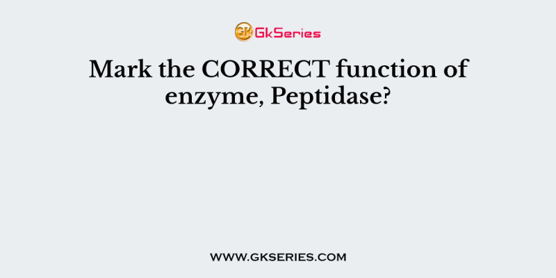 Mark the CORRECT function of enzyme, Peptidase?