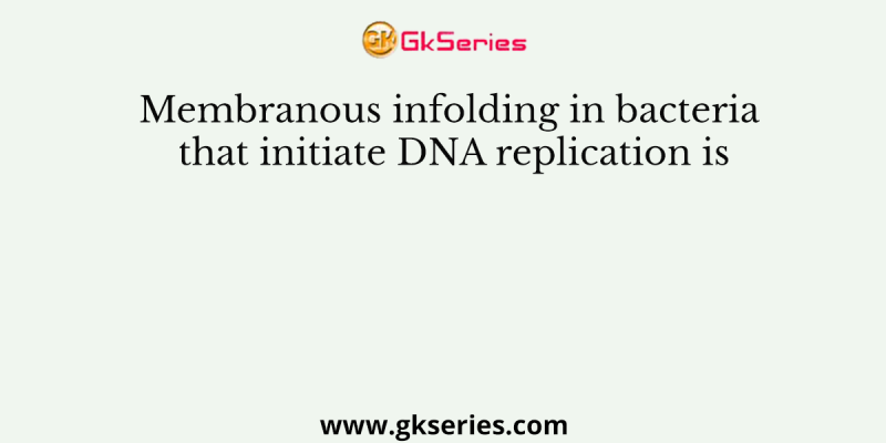 Membranous infolding in bacteria that initiate DNA replication is