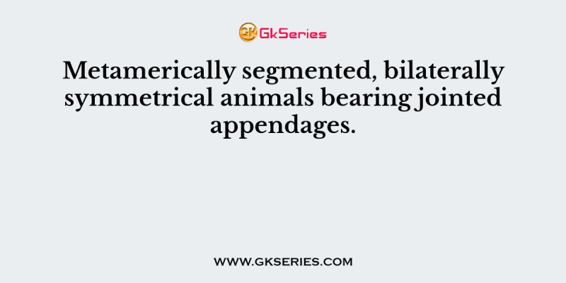 Metamerically segmented, bilaterally symmetrical animals bearing jointed appendages.