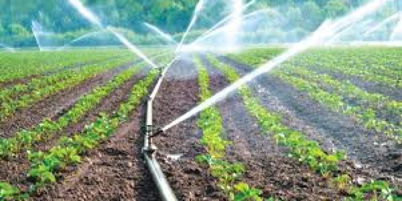 Micro Irrigation Fund (MIF) has been created under NABARD
