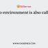 ________________ environment can be defined as that part of the environment that is concerned with the entire social system