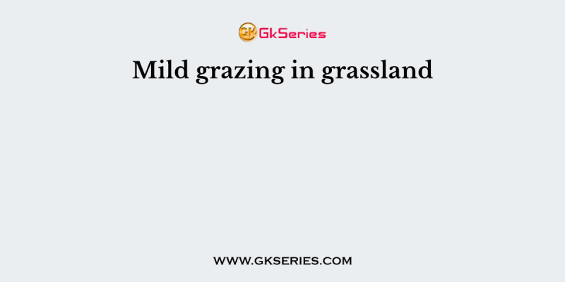 Mild grazing in grassland