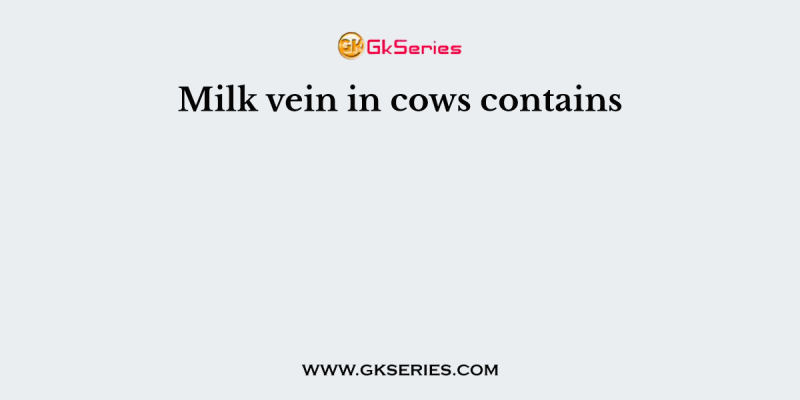 Milk vein in cows contains