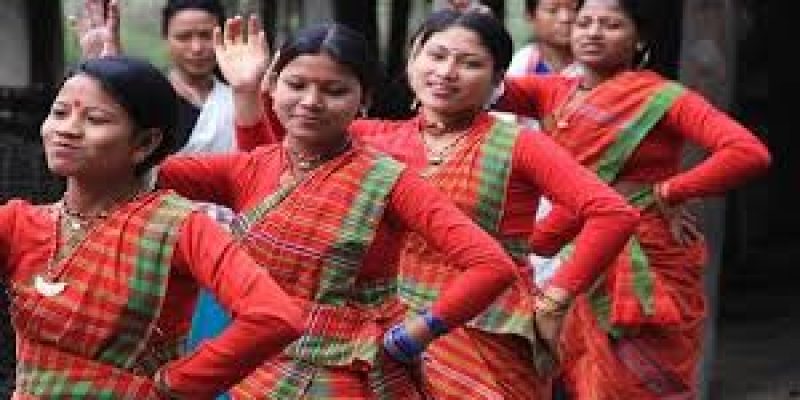 Mising Tribe Celebrates Ali Ai Ligang Festival