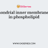 Which of the following statements regarding mitochondrial membrane is not correct?